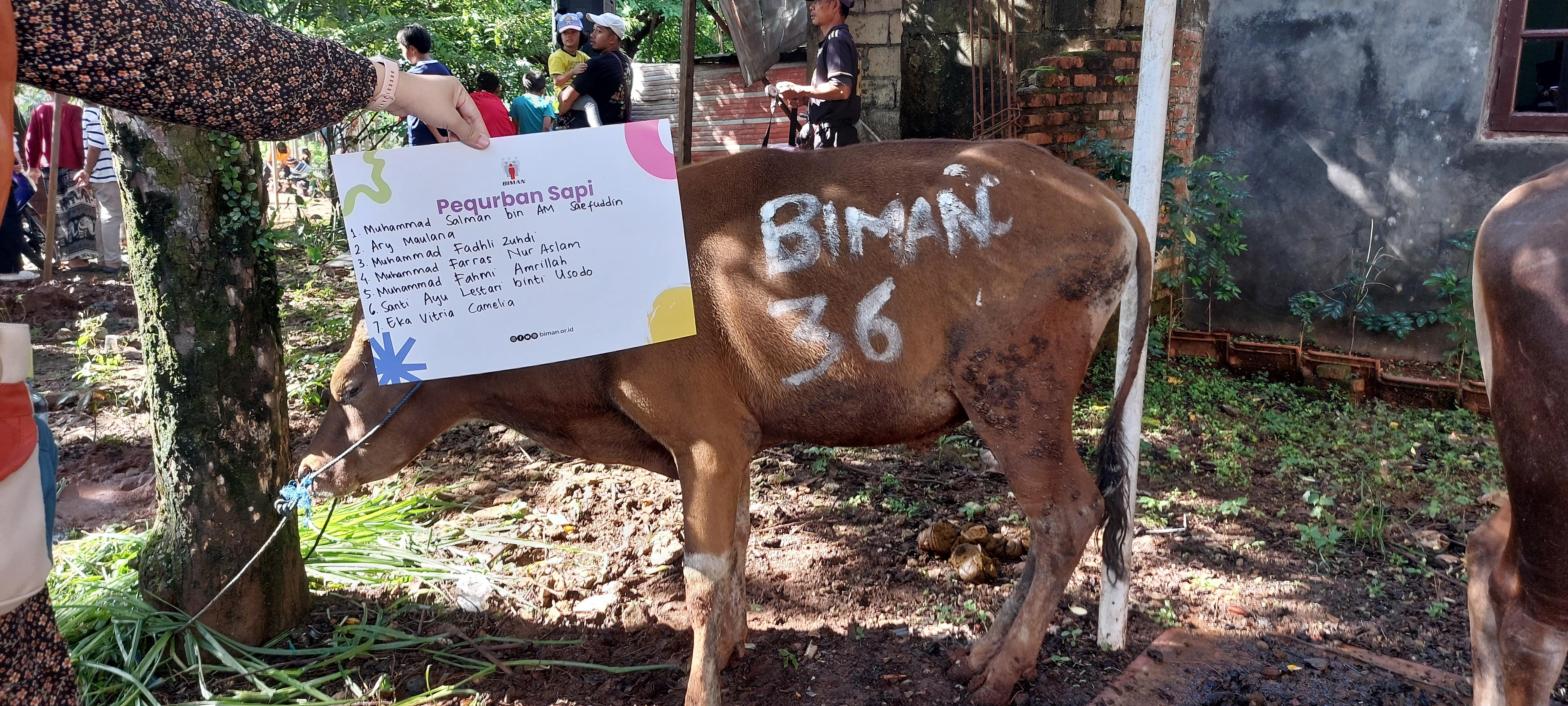 Biman Berqurban 2026