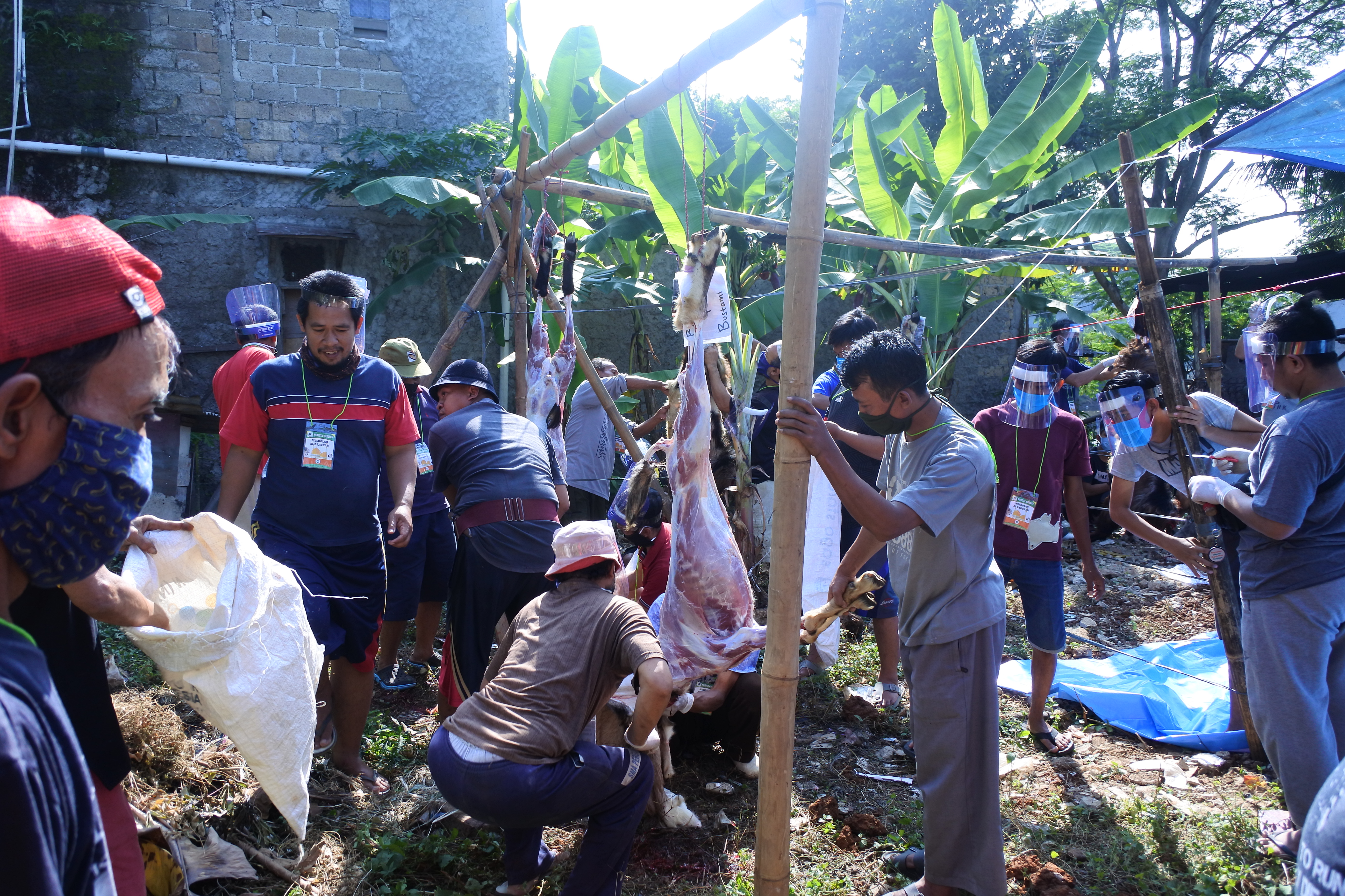 Pemotongan Hewan Qurban 2020